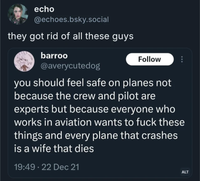 Echo on bluesky says "they got rid of all these guys" with a screenshot from 2021 twitter of barroo saying "you should feel safe on planes not because the crew and pilot are experts but because everyone who works in aviation wants to fuck these things and every plane that crashes is a wife that dies"