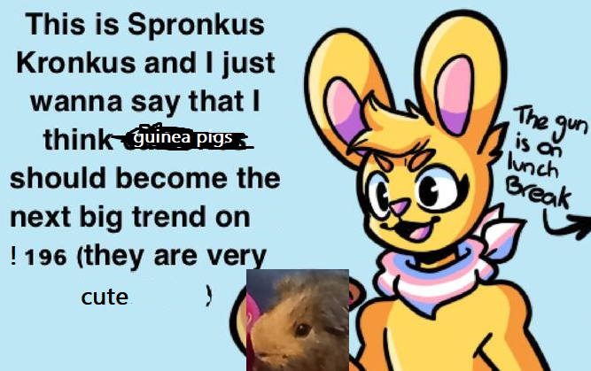 "This is Spronkus Krobkus and I just wanna say that I think guinea pigs should become the next big trend on !196 (they are very cute)