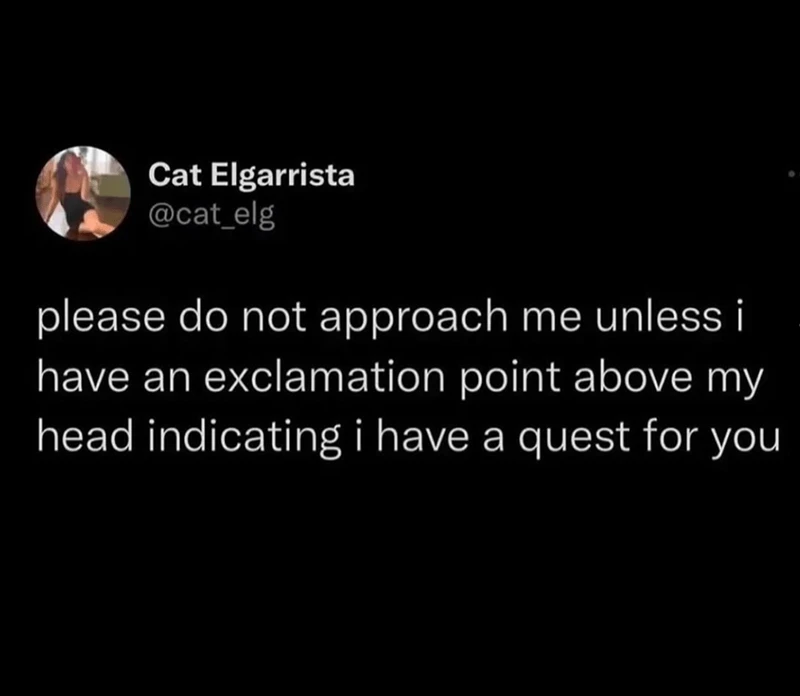 A twitter post by Cat Egarrista, in which she says "please do not approach me unless i have an exclamation point above my head indicating i have a quest for you"